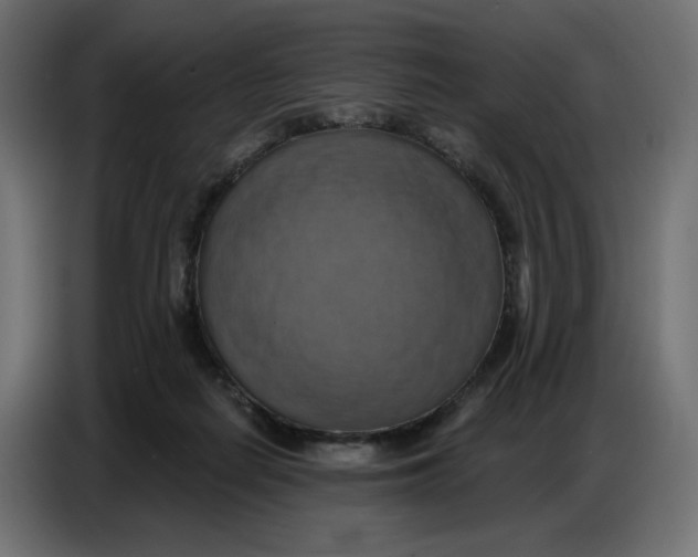 X0000086750266200705041433