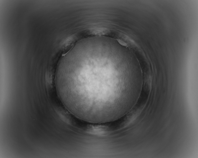 X0000086750268200705041433