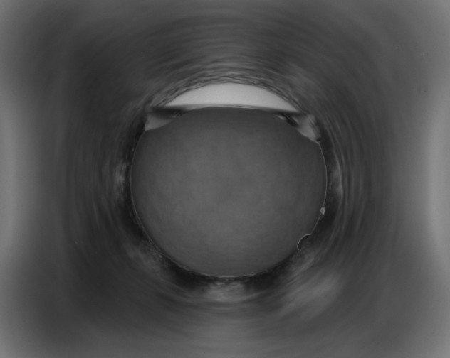 X0000086750271200705041433