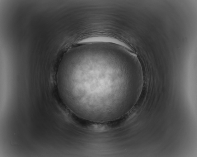 X0000086750272200705041433