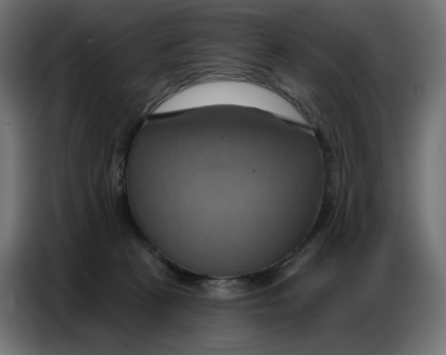 X0000086750273200705041433