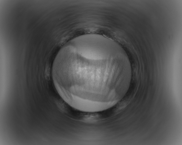 X0000086750274200705041433