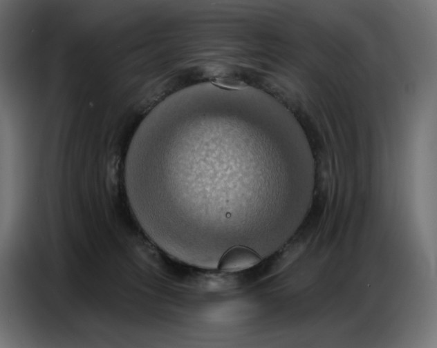 X0000086750275200705041433