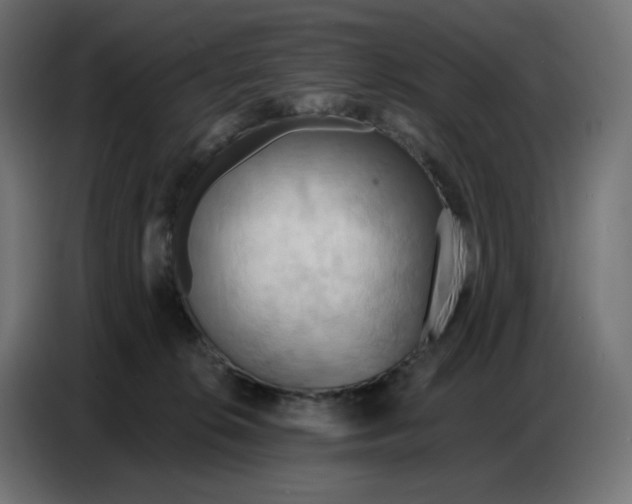 X0000086750276200705041433