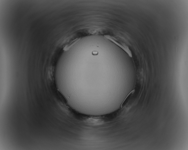 X0000086750280200705041433