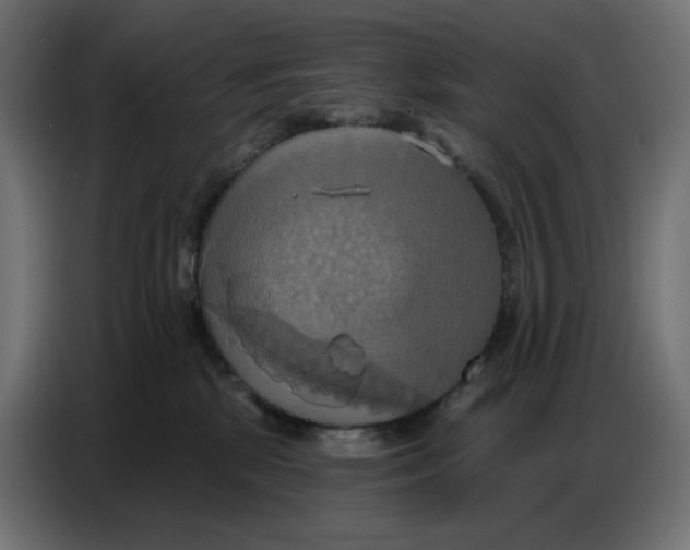 X0000086750281200705041433