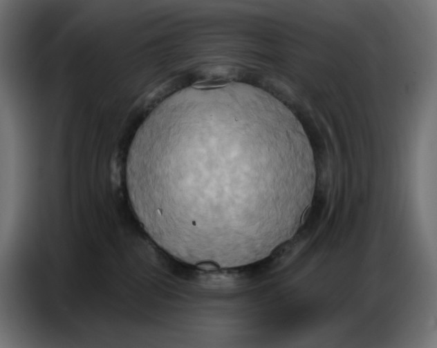 X0000086750282200705041433