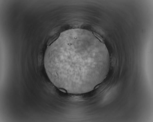 X0000086750283200705041433