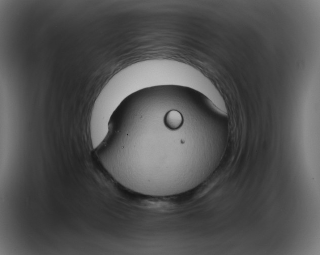 X0000086750284200705041433