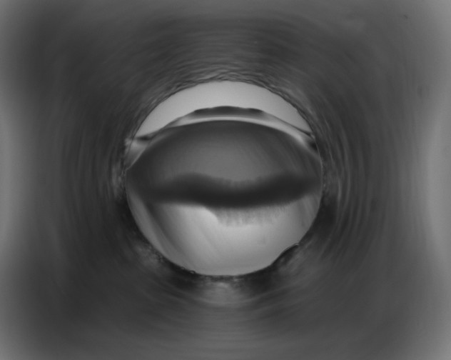 X0000086750285200705041433