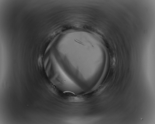 X0000086750286200705041433