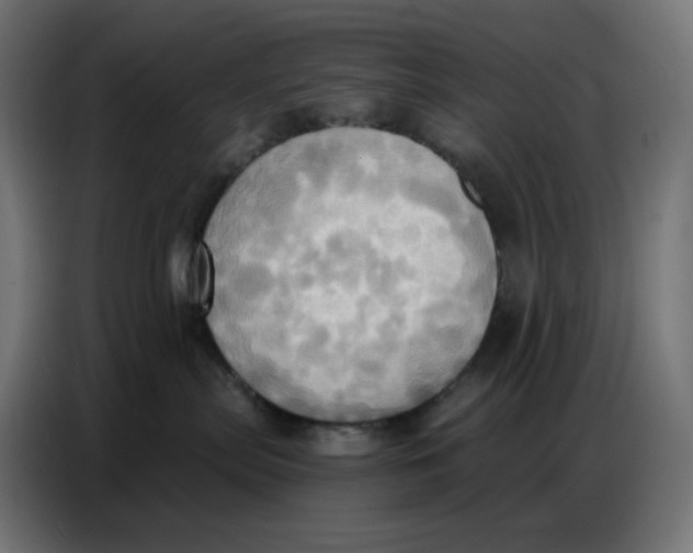 X0000086750287200705041433