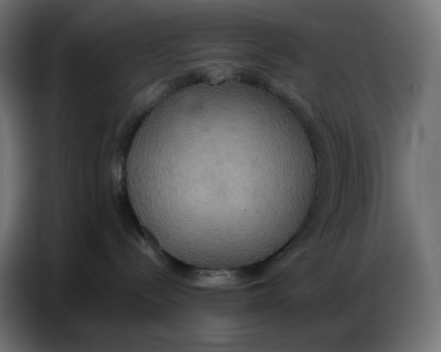 X0000086750288200705041433