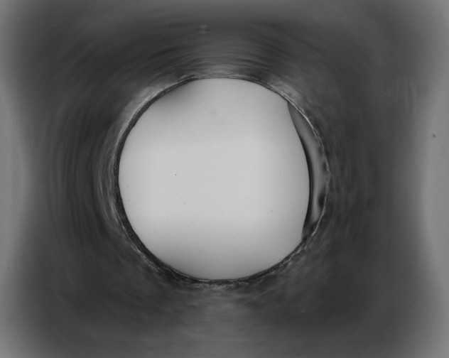 X0000086750289200705041433