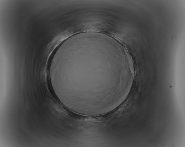 X0000086750290200705041433