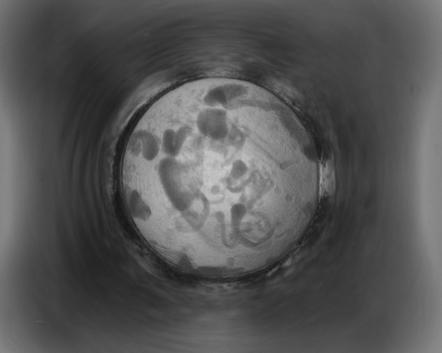 X0000086750291200705041433