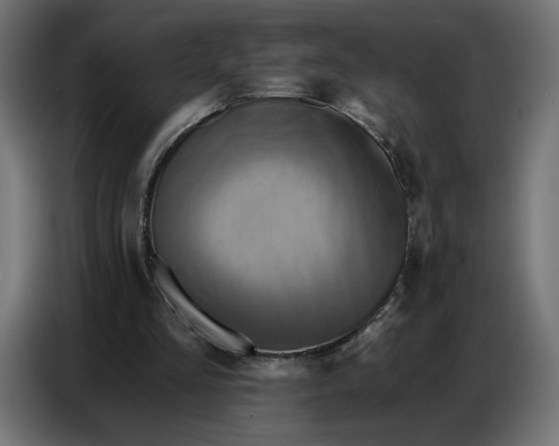 X0000086750293200705041433