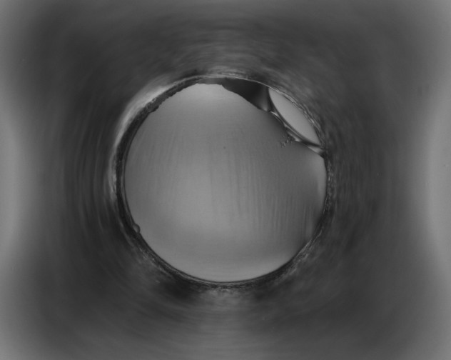 X0000086750294200705041433