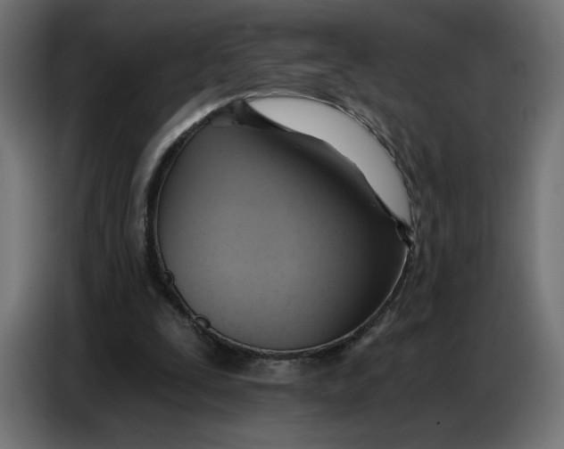 X0000086750295200705041433