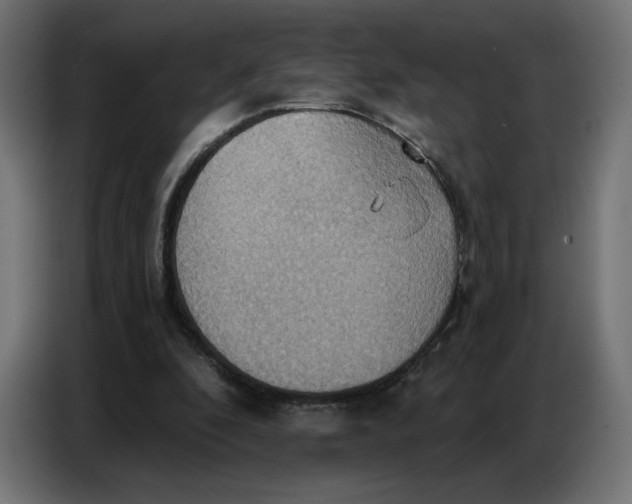 X0000086750296200705041433