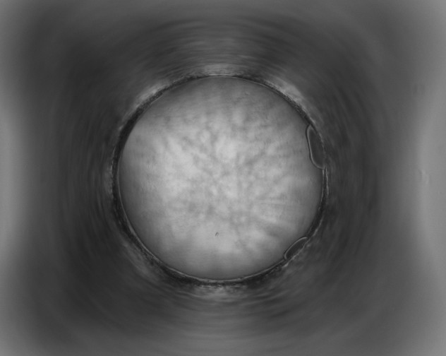 X0000086750297200705041433