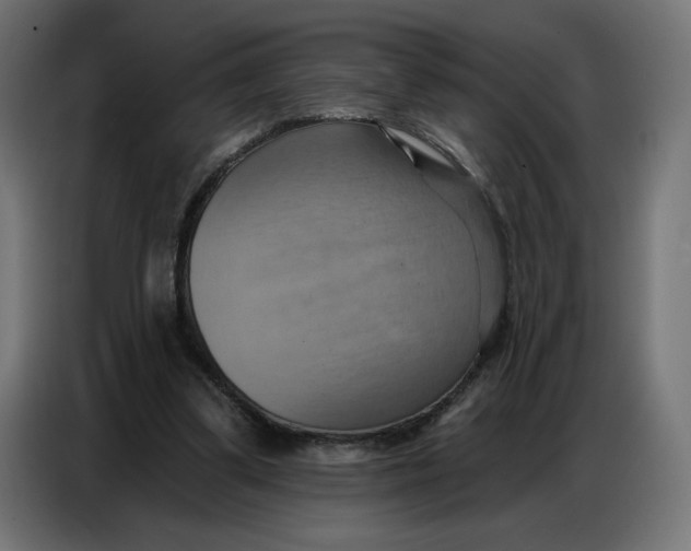 X0000086750299200705041433