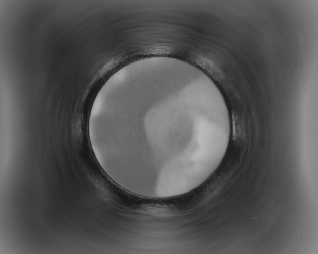 X0000086750300200705041433