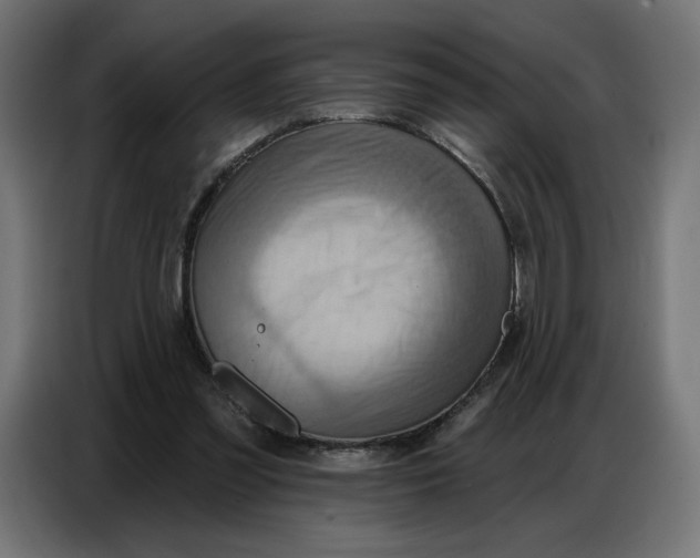 X0000086750301200705041433