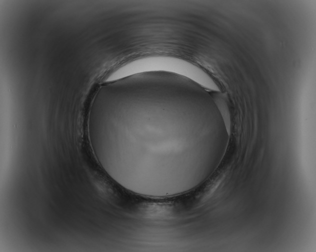 X0000086750303200705041433