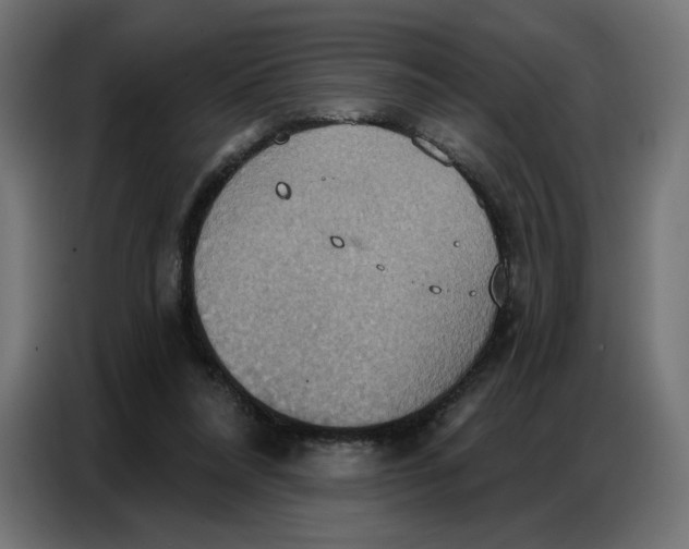 X0000086750304200705041433