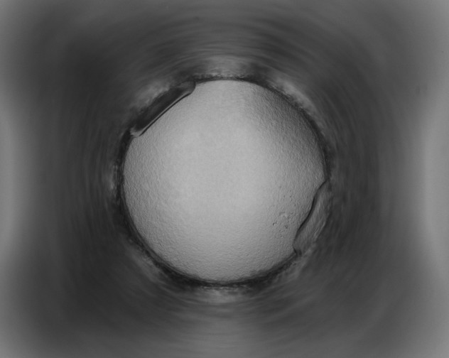 X0000086750305200705041433