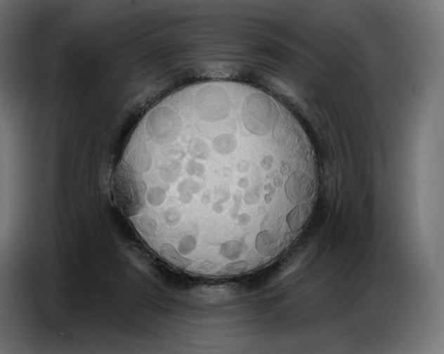 X0000086750307200705041433