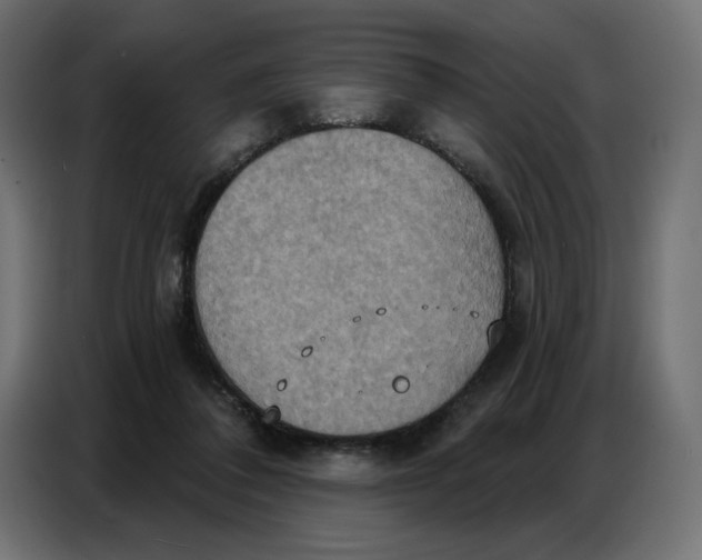 X0000086750308200705041433