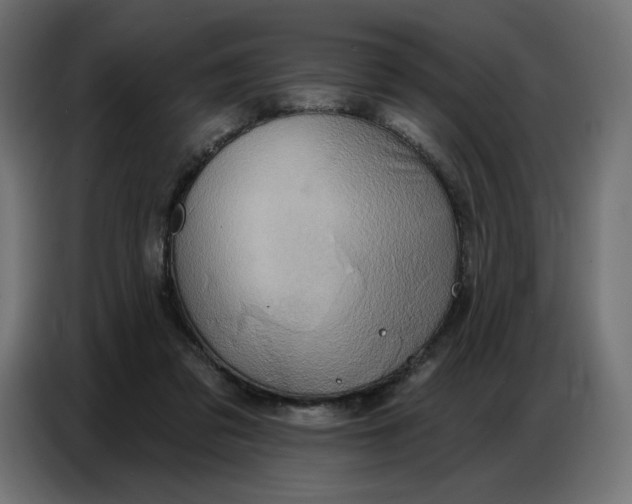 X0000086750309200705041433