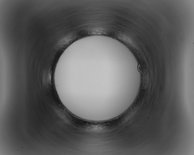 X0000086750310200705041433