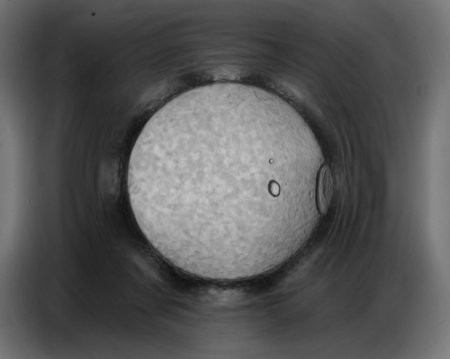 X0000086750311200705041432