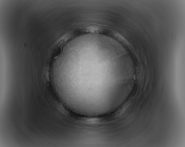 X0000086750313200705041432