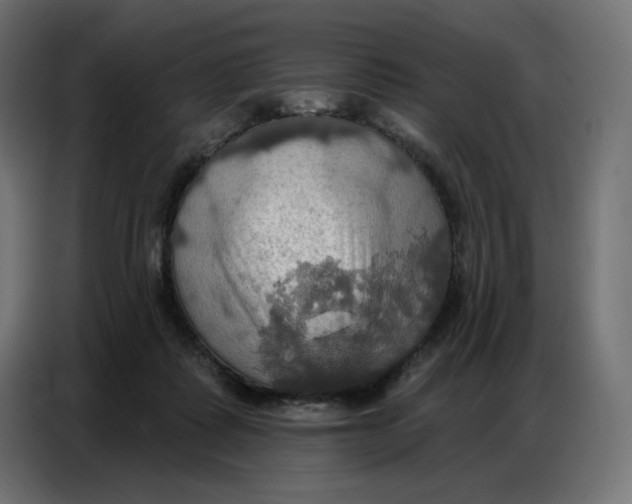 X0000086750315200705041432