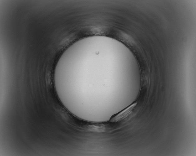 X0000086750317200705041432