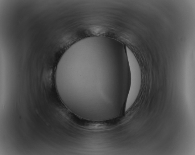 X0000086750319200705041432