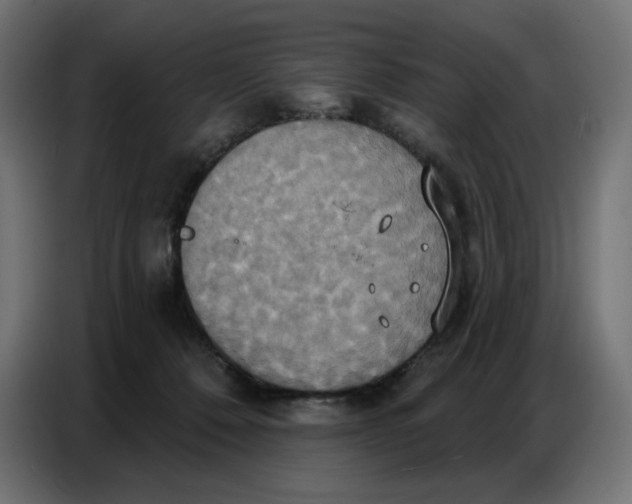 X0000086750320200705041432