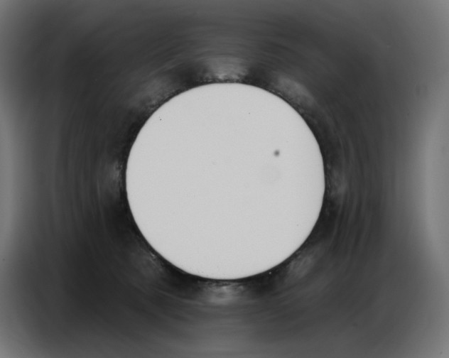 X0000086750321200705041432