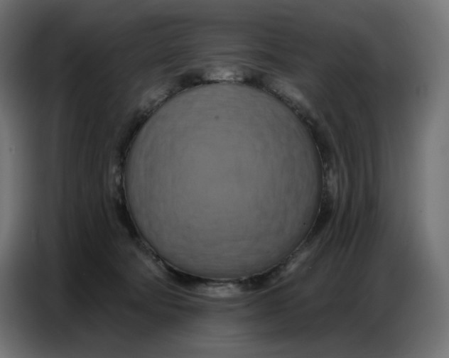 X0000086750322200705041432