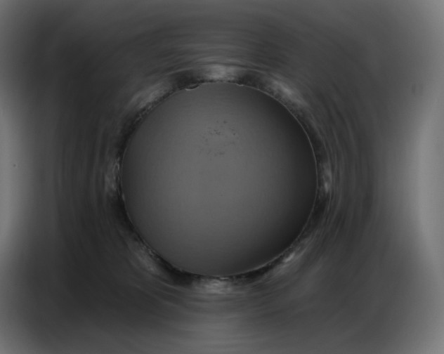 X0000086750325200705041432