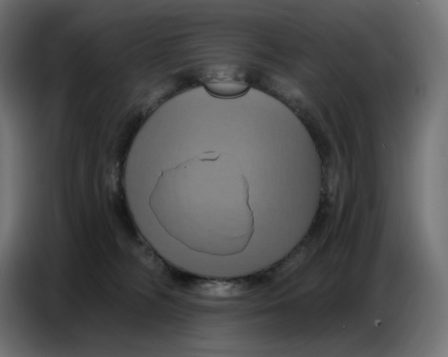 X0000086750326200705041432