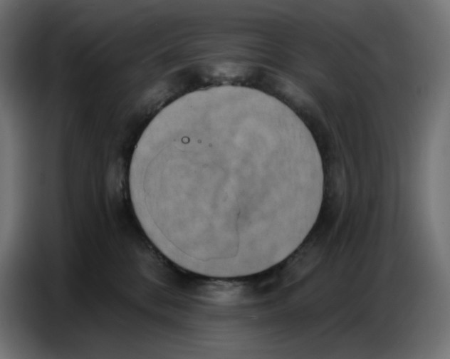 X0000086750328200705041432