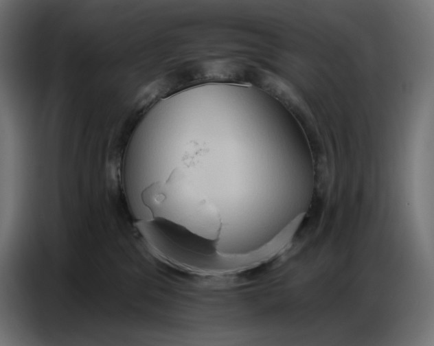 X0000086750329200705041432