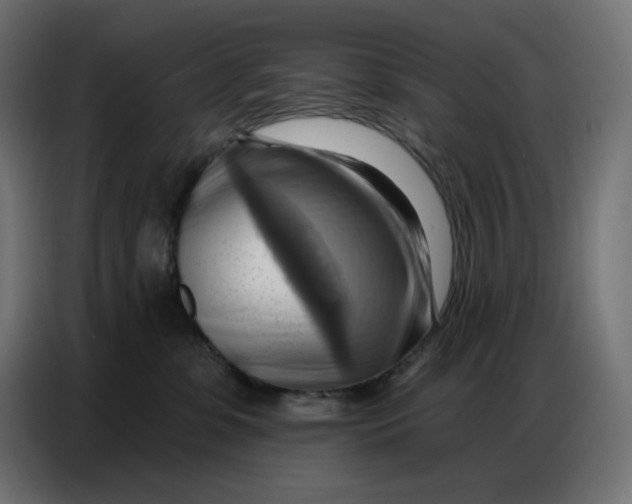 X0000086750331200705041432