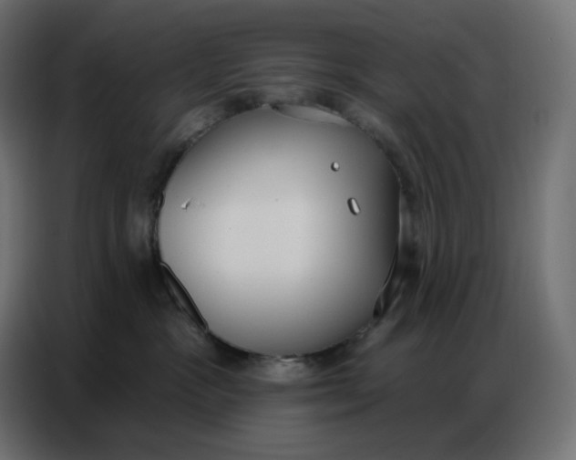 X0000086750333200705041432