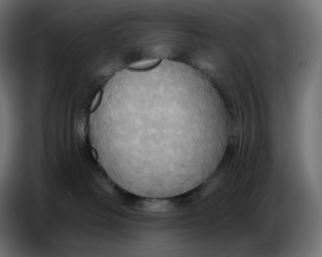 X0000086750334200705041432